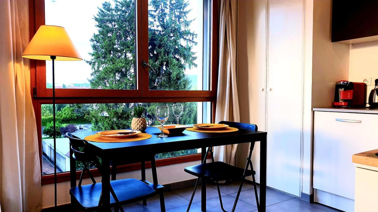 Apartamento Le Bellevue A 10Min Du Centre A Pied Annecy Exterior foto